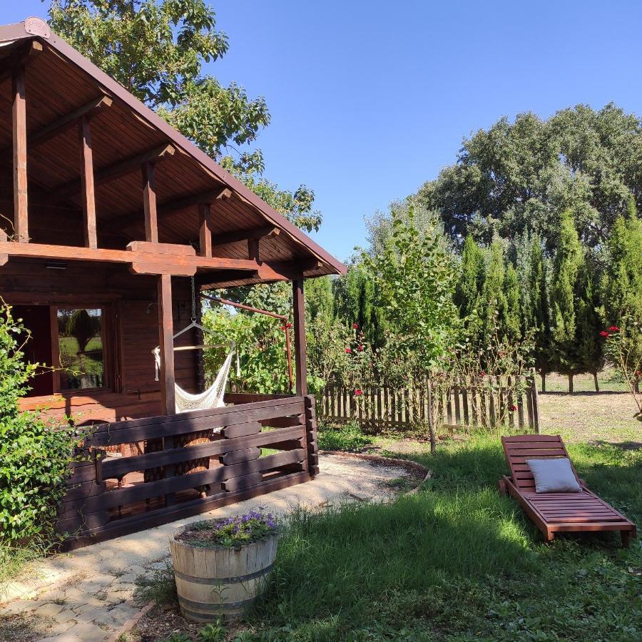 Hostal Pago de Tharsys Requena Exterior foto